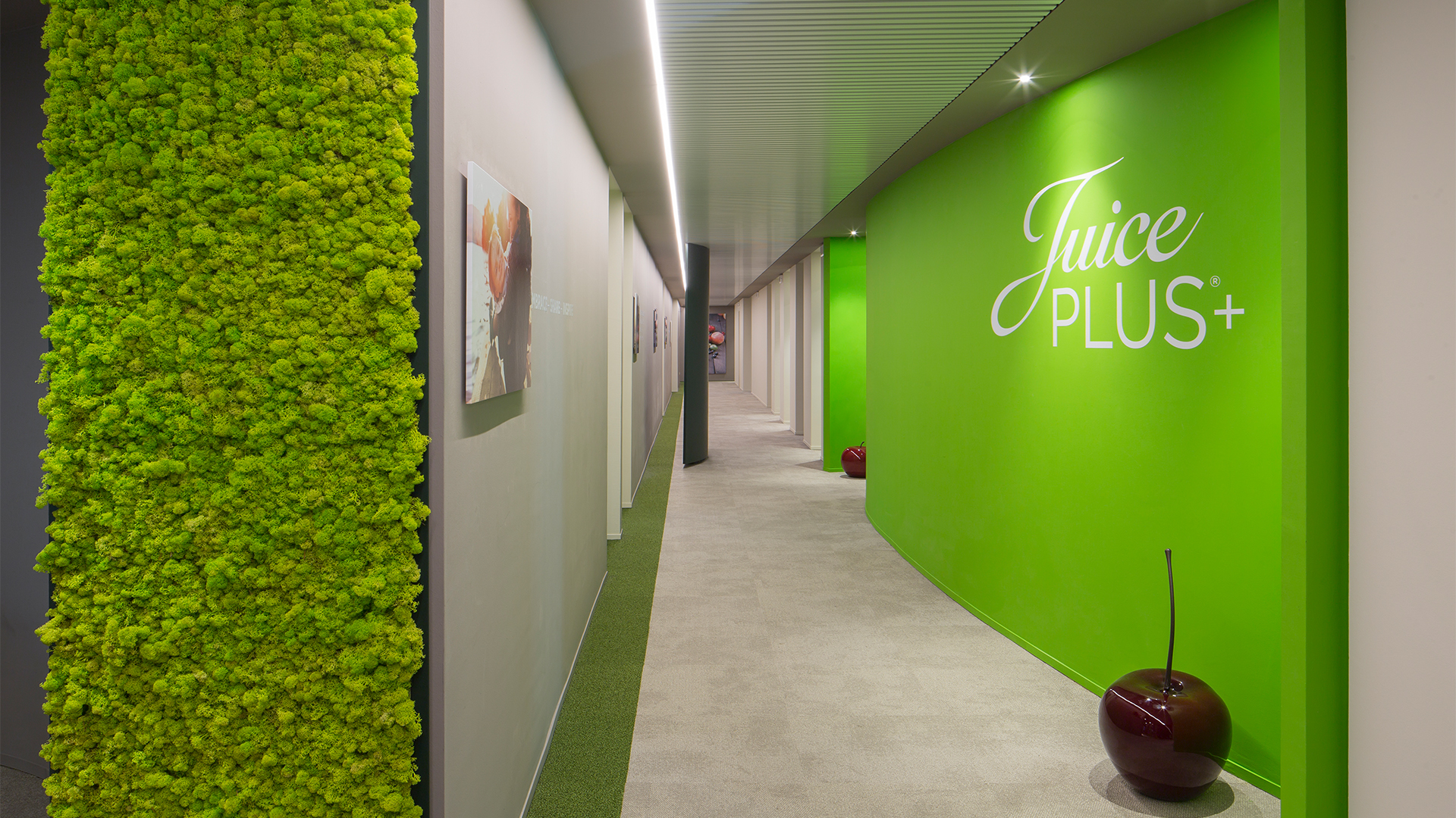 juice-plus-level-office-landscape