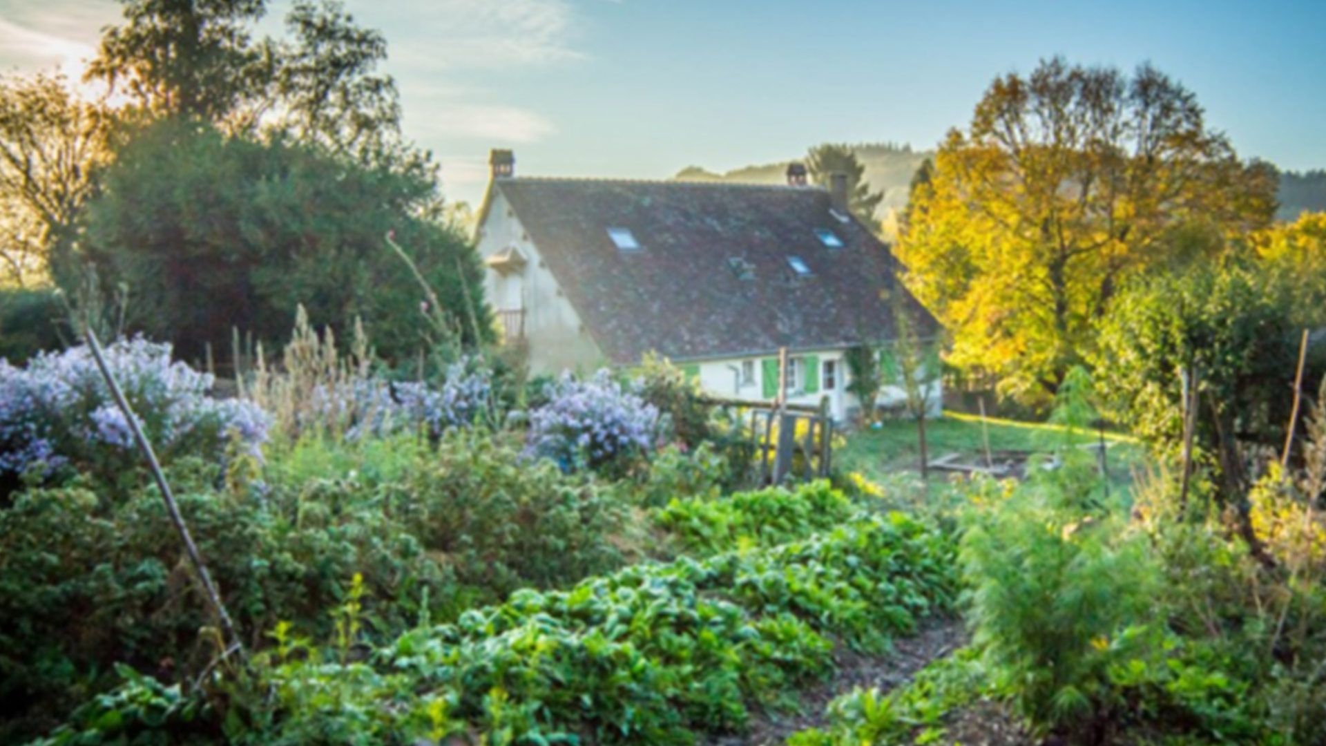 Mutinerie village digital nomads level office landscape