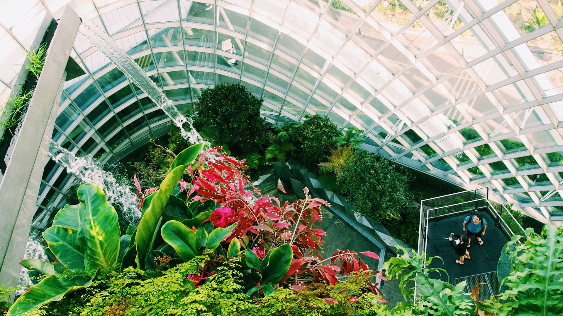 Biophilic-Design-in-ufficio