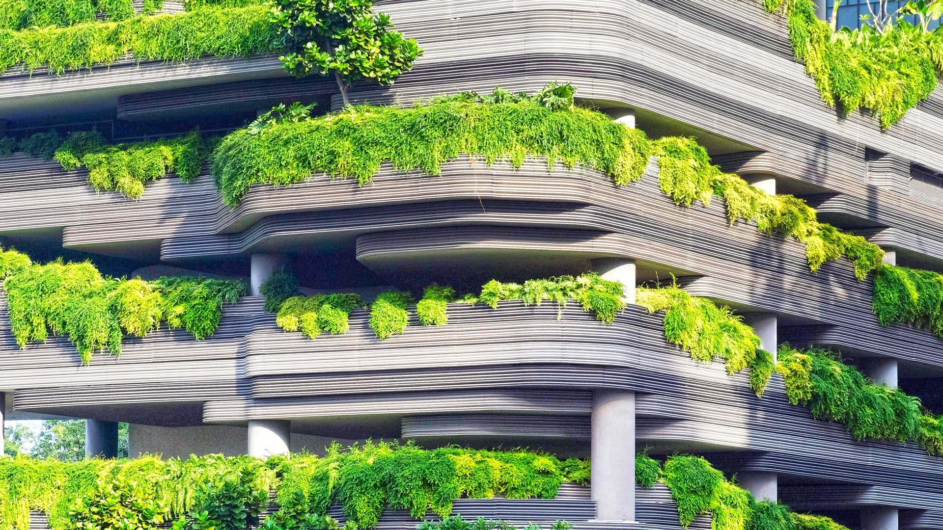 Natura-in-ufficio-biophilic-design-Level-Office-Landscape