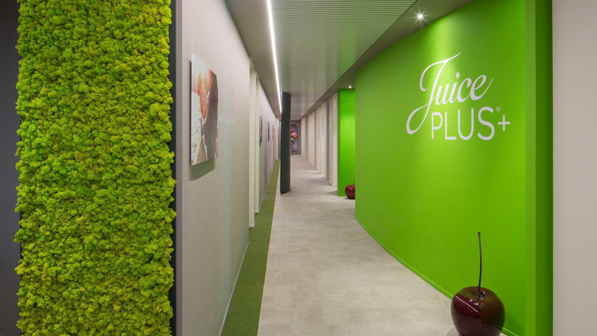 Uffici-per-e-commerce-Juice-Plus-3-Level-Office-Landscape