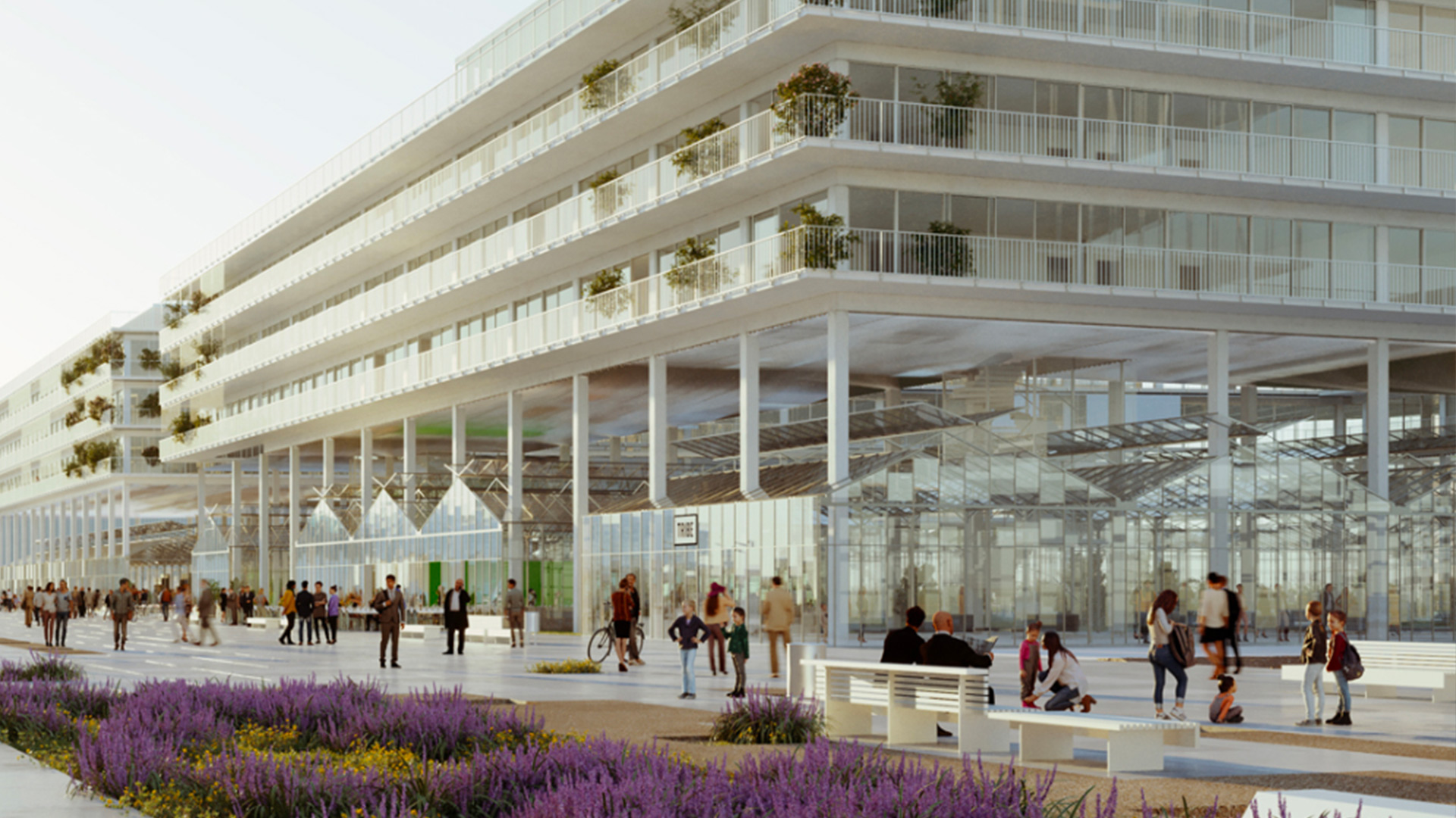 Architettura-e-design-Lacaton-&-Vassal-Level-Office-Landscape