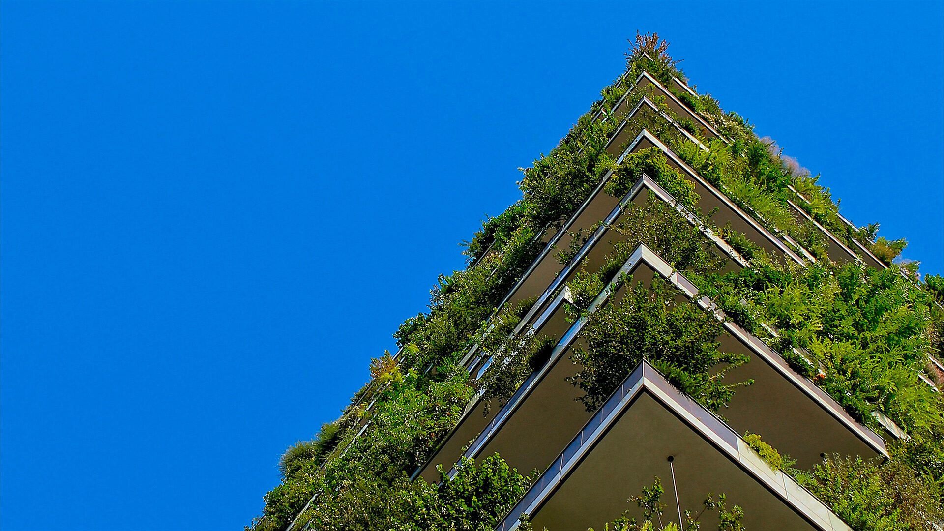 Living-architecture-progettare-il-futuro-Level-Office-Landscape