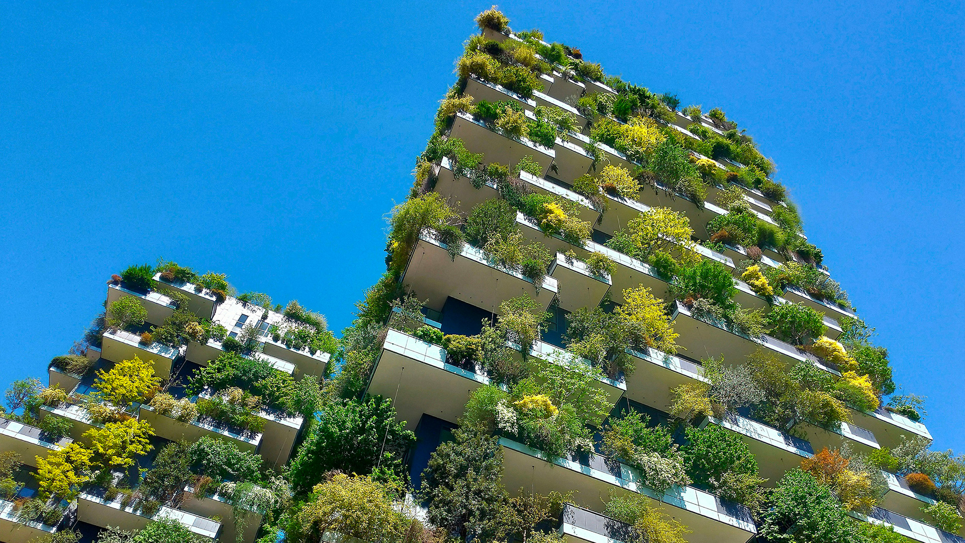 Living-architecture-vertical-forest-Level-Office-Landscape