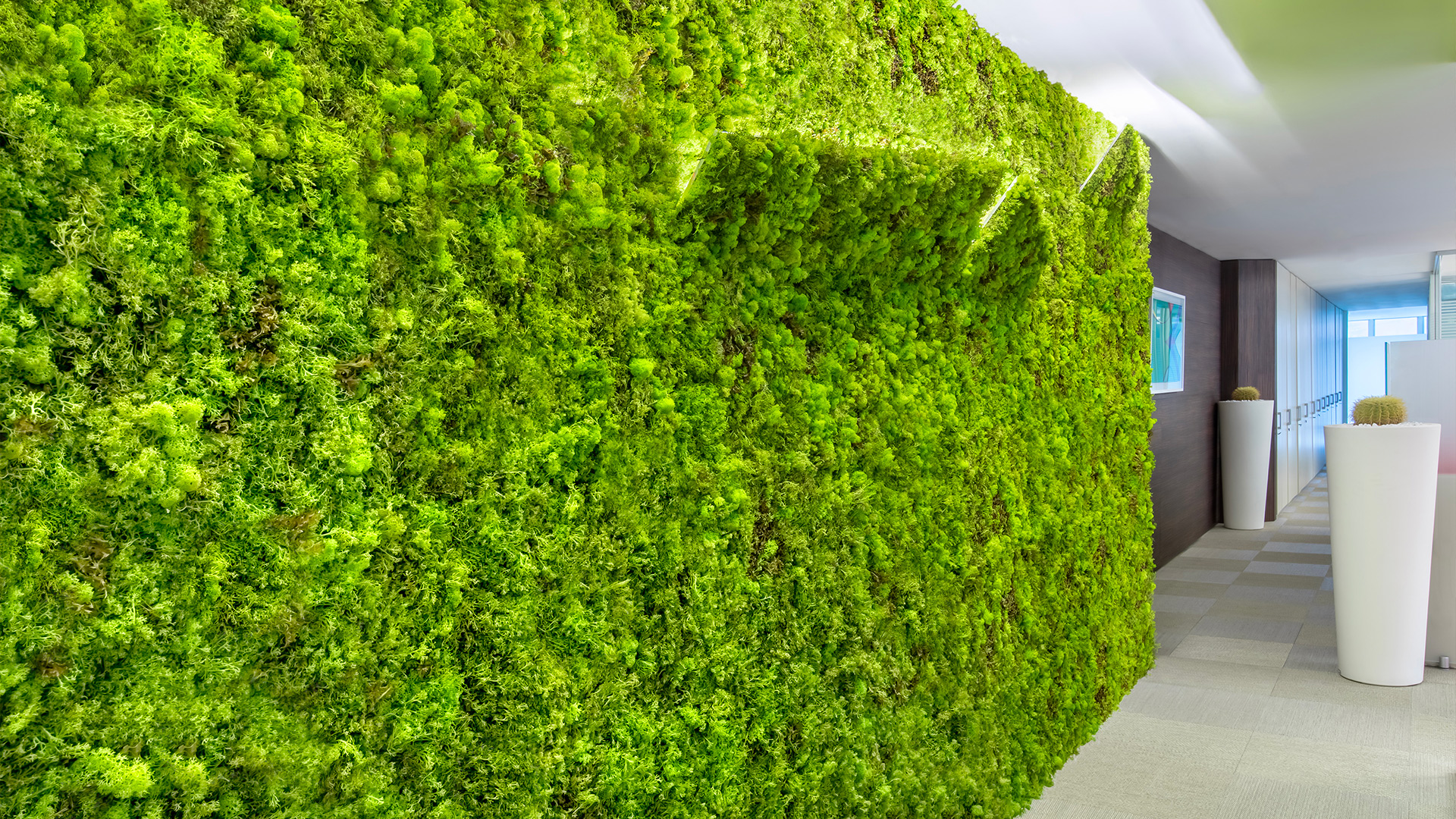 Sistemi-vegetali-biologici-Level-Office-Landscape